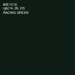 #0E1C16 - Racing Green Color Image